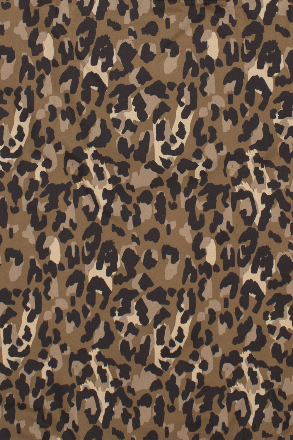 Leopard | Medium