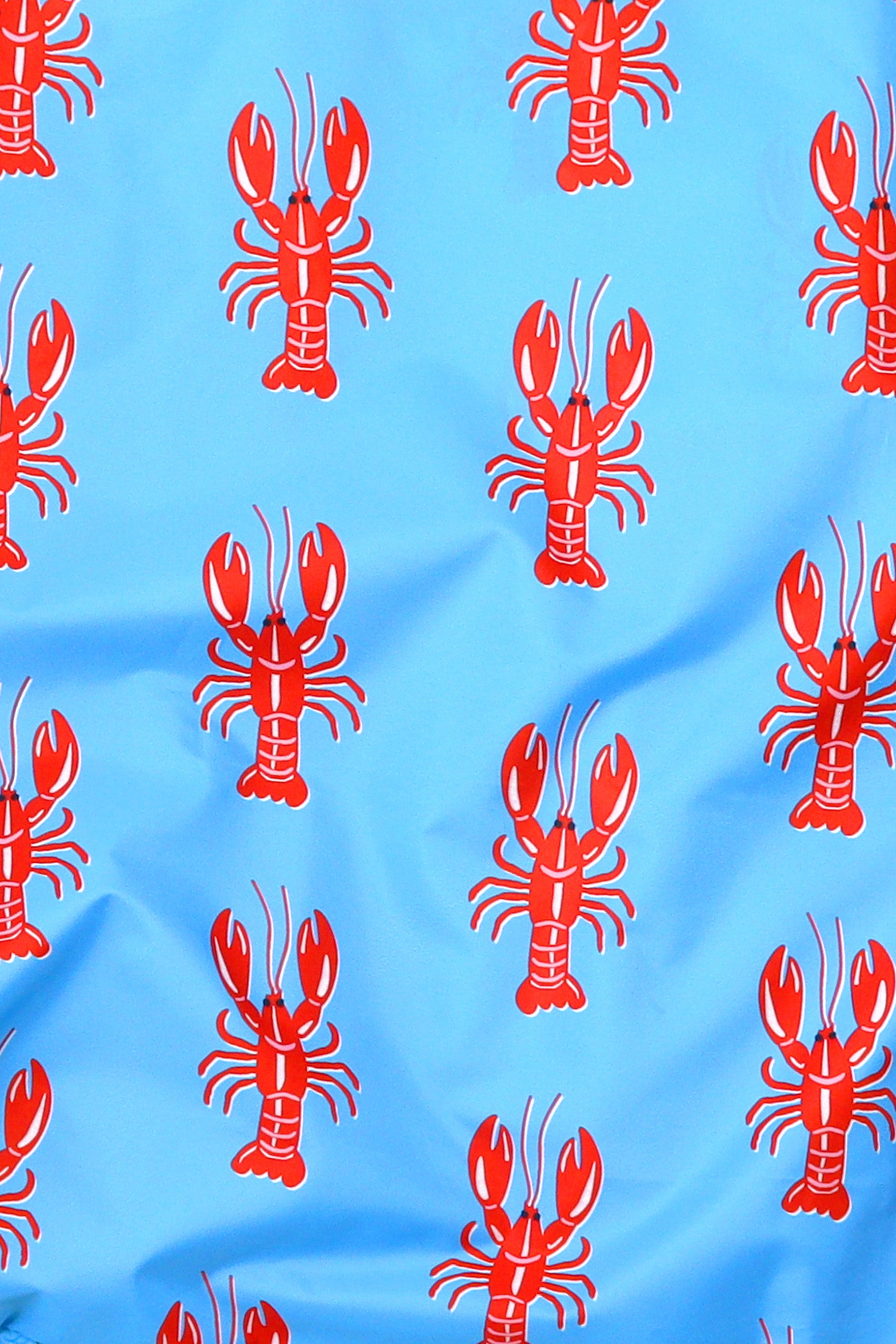 Lobster | Medium